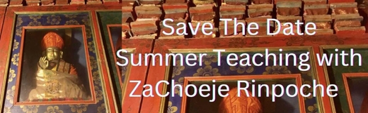 2025 Summer teaching 25