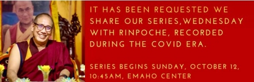 2025 Wednesdays with Rinpoche
