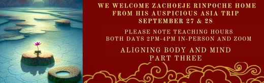 Aligning Body and Mind III