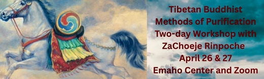 Methods of Purification
